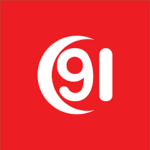 91 Game Icon